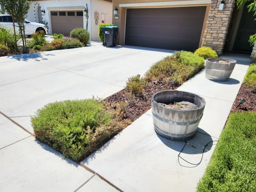 Reliable yard cleanup service for residential properties in Hemet, CA by Better Every Day Landscaping