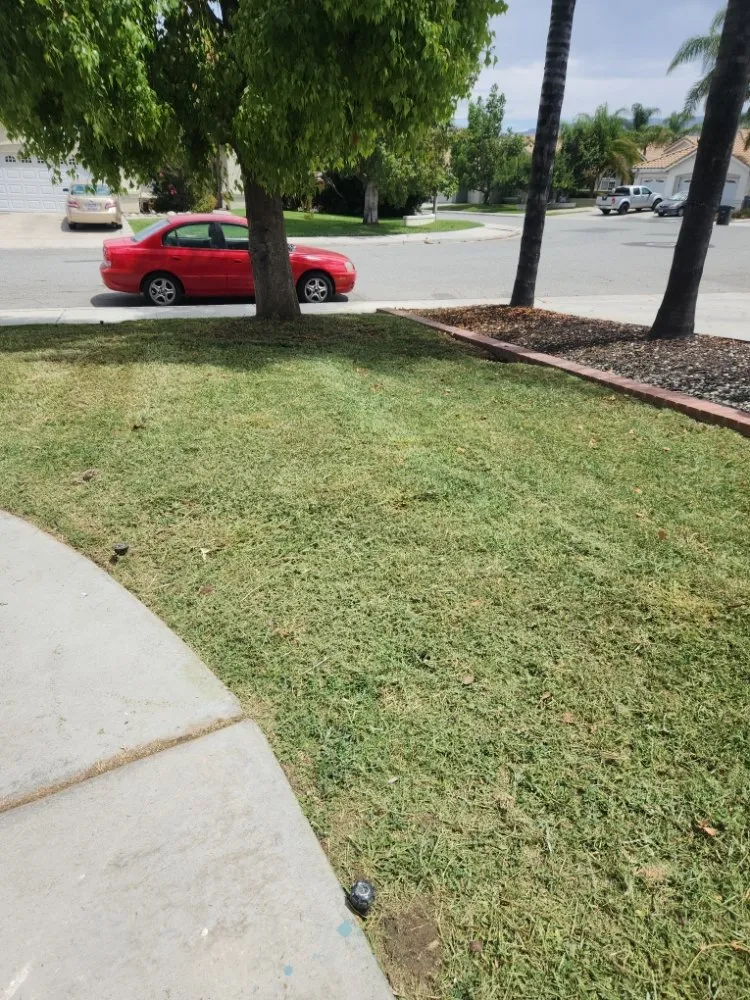 Trusted landscaping services with custom design in Hemet, CA by Better Every Day Landscaping