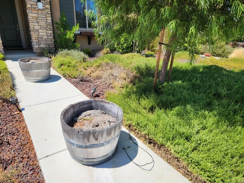 Top-rated landscape installation for homes in Hemet, CA by Better Every Day Landscaping