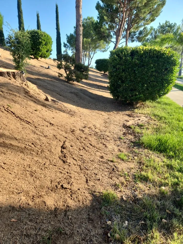 Custom yard maintenance experts serving Hemet, CA - Better Every Day Landscaping