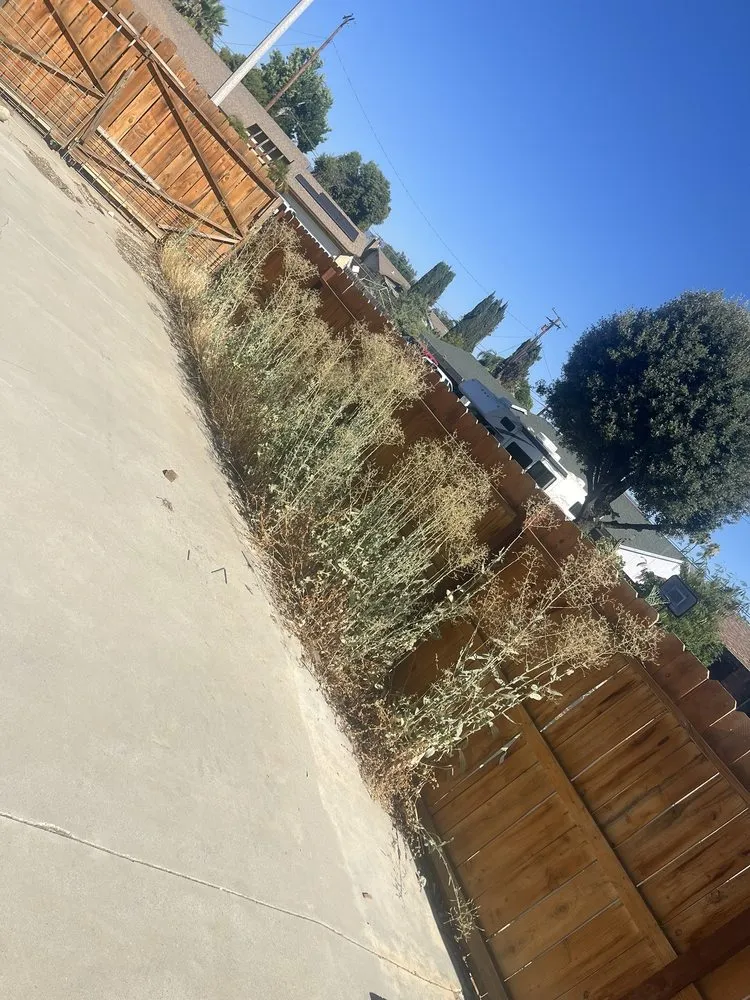 Top-rated landscape design for outdoor upgrades in Hemet, CA by Better Every Day Landscaping