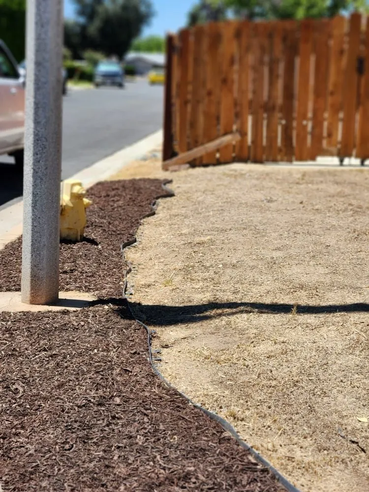 Affordable landscaping services in Hemet, CA - Better Every Day Landscaping