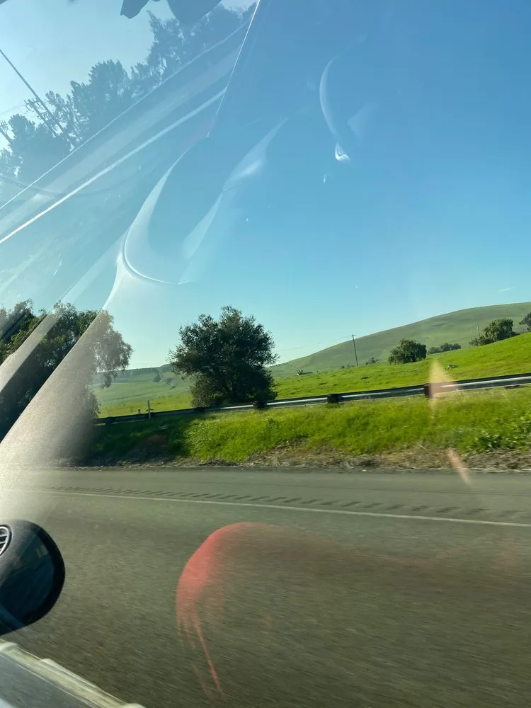 Reliable lawn care service in Martinez, CA by Better Future Eco