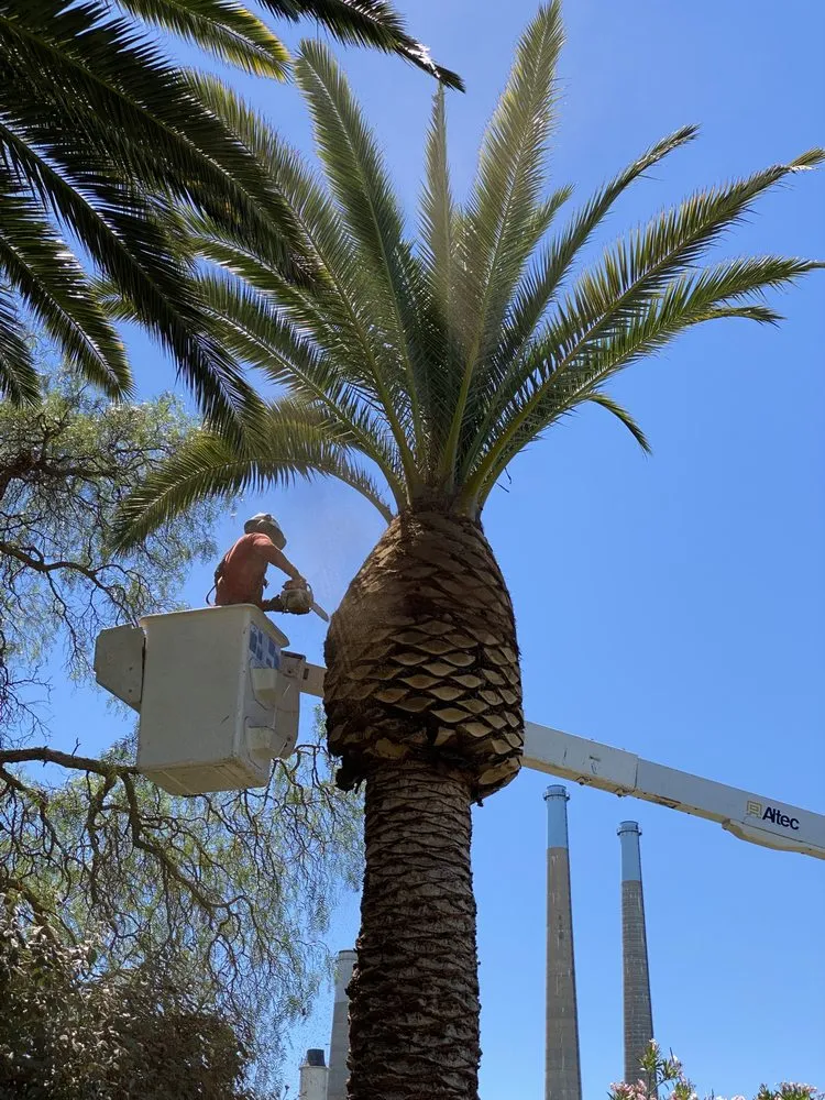 Professional outdoor landscaping experts serving Martinez, CA - Better Future Eco