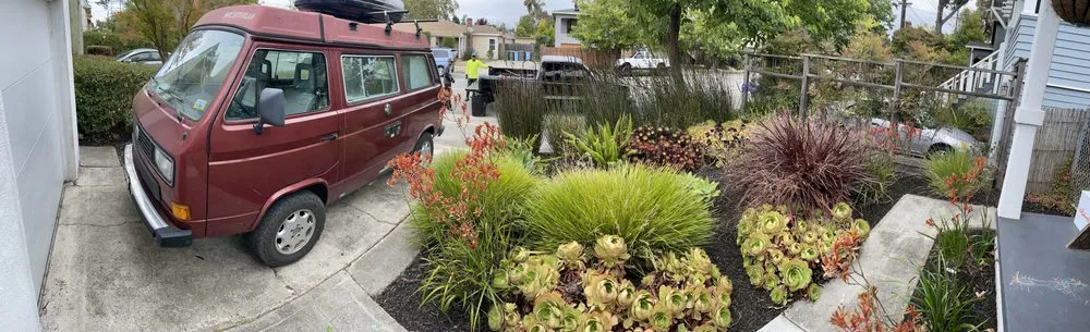 Local landscape installation with custom design across Martinez, CA - Better Future Eco