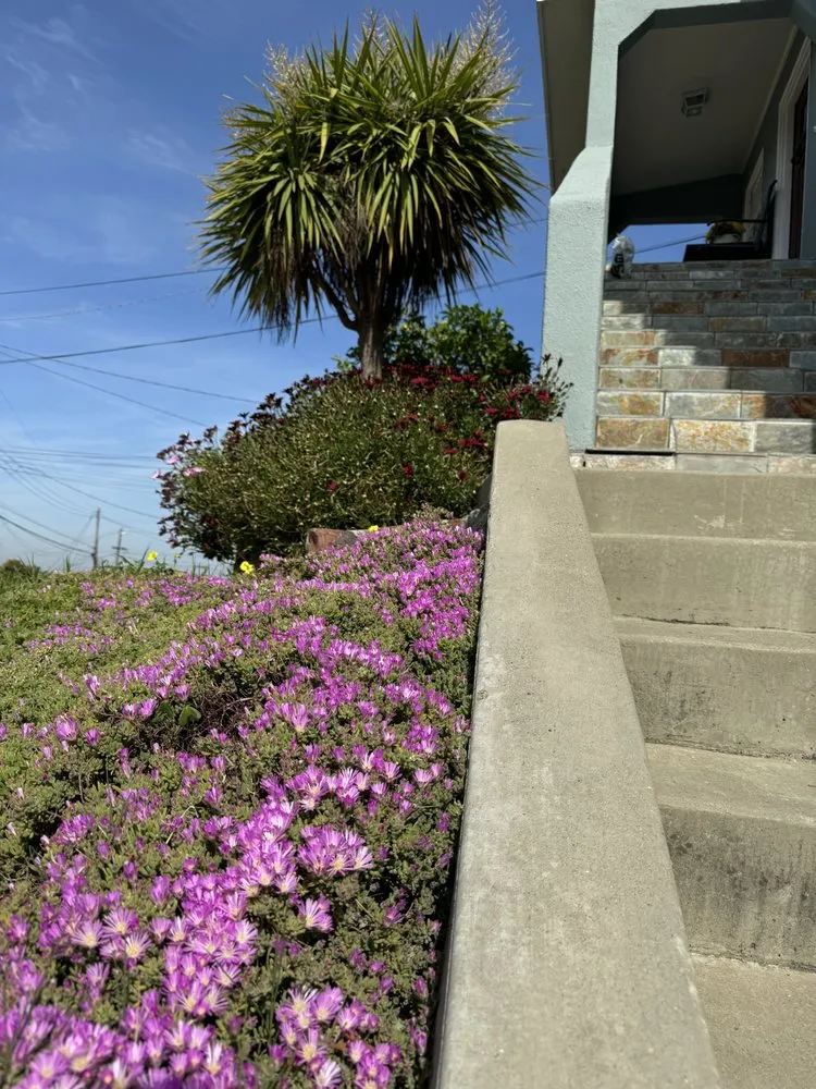Trusted residential landscaping in Martinez, CA - Better Future Eco