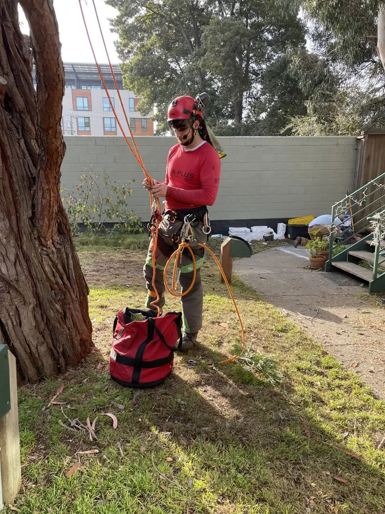 Local landscape design for residential properties across Martinez, CA - Better Future Eco