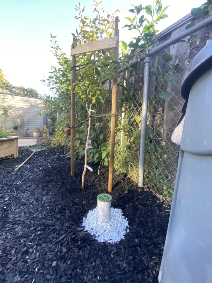 Reliable landscaping services with custom design in Martinez, CA by Better Future Eco