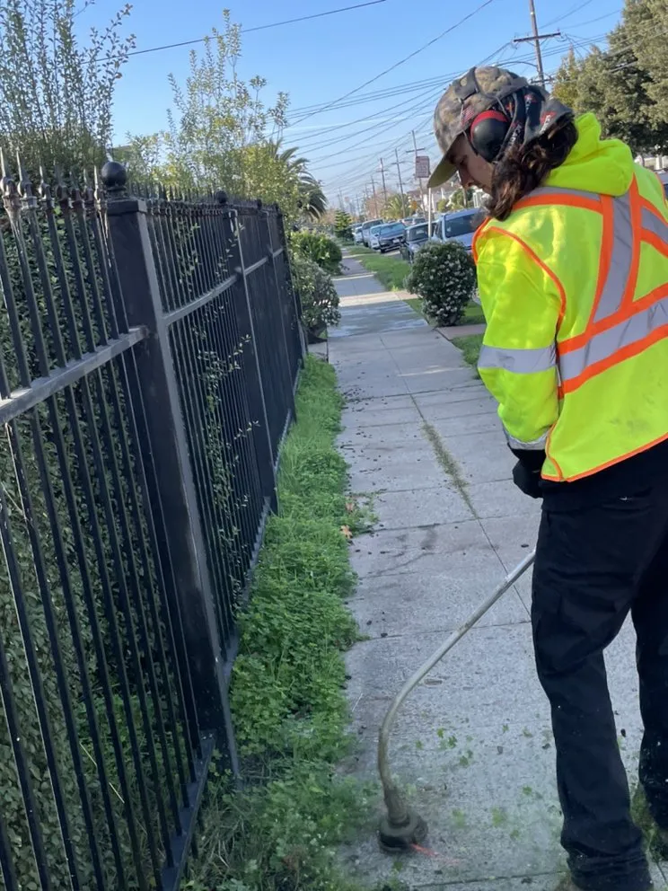 Reliable landscape installation in Martinez, CA by Better Future Eco