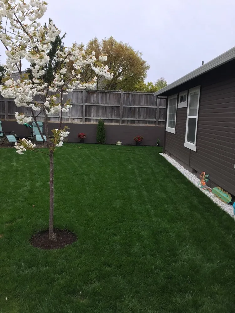 Trusted lawn mowing service near you in Medford, OR by Better Garden Care