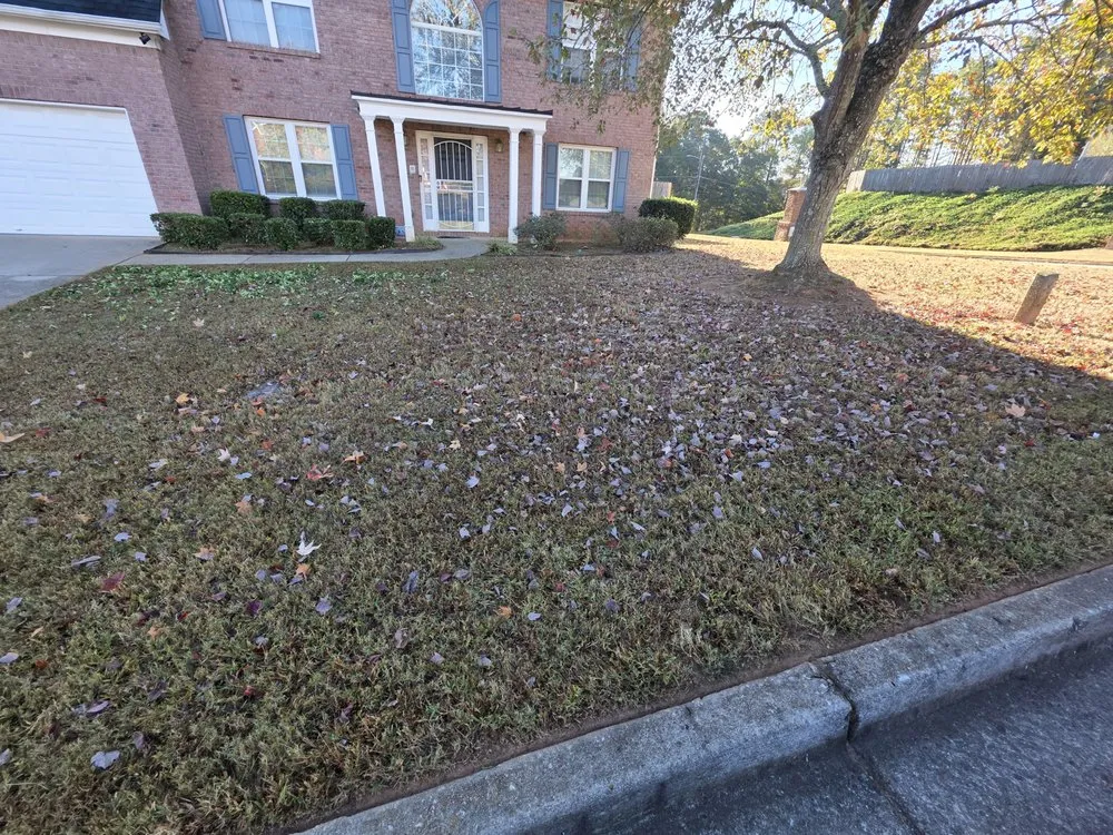 Trusted yard maintenance in Lawrenceville, GA - Better Garden Landscaping