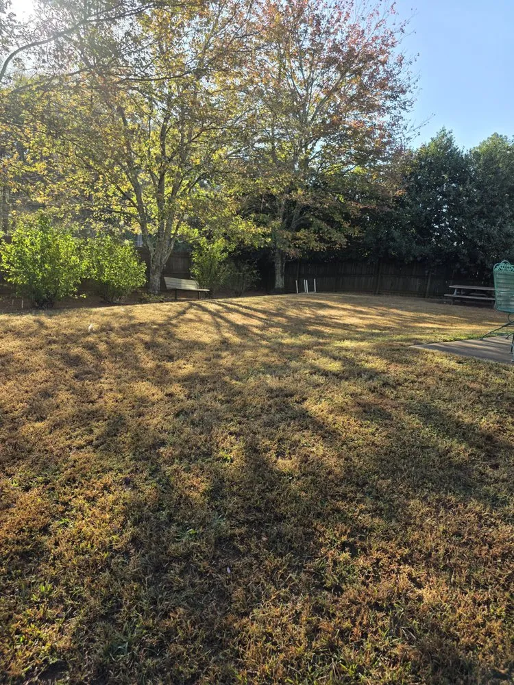 Trusted garden landscaping with custom design in Lawrenceville, GA by Better Garden Landscaping