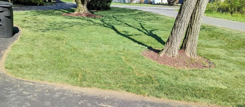 Affordable lawn care service for homes in Chester, MD by Better Gardens And Landscaping