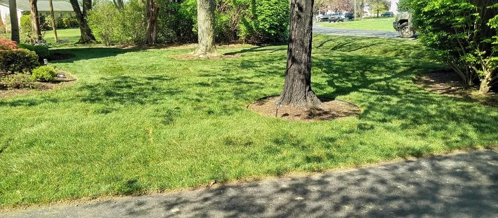 Custom garden landscaping experts serving Chester, MD - Better Gardens And Landscaping