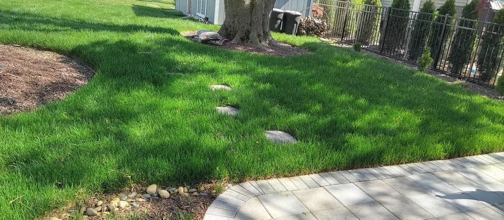 Custom residential landscaping in Chester, MD by Better Gardens And Landscaping