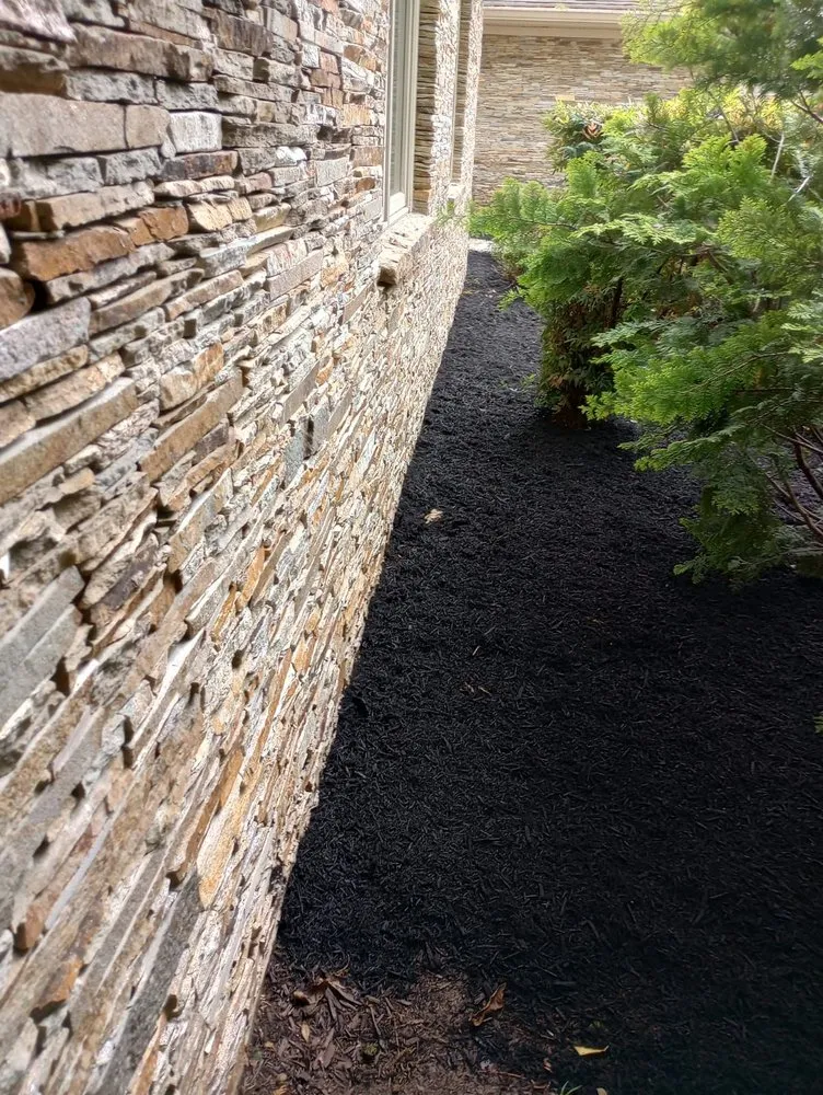 Trusted yard cleanup service in Chester, MD - Better Gardens And Landscaping