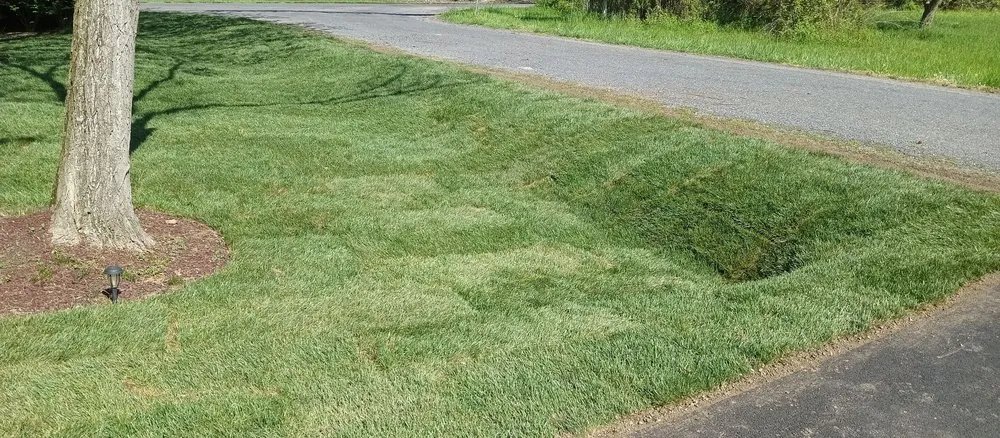 Custom lawn mowing service for outdoor upgrades in Chester, MD by Better Gardens And Landscaping