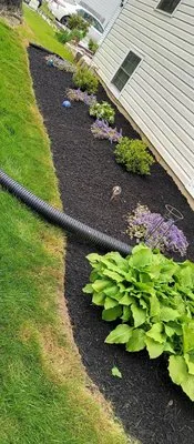 Better Gardens And Landscaping