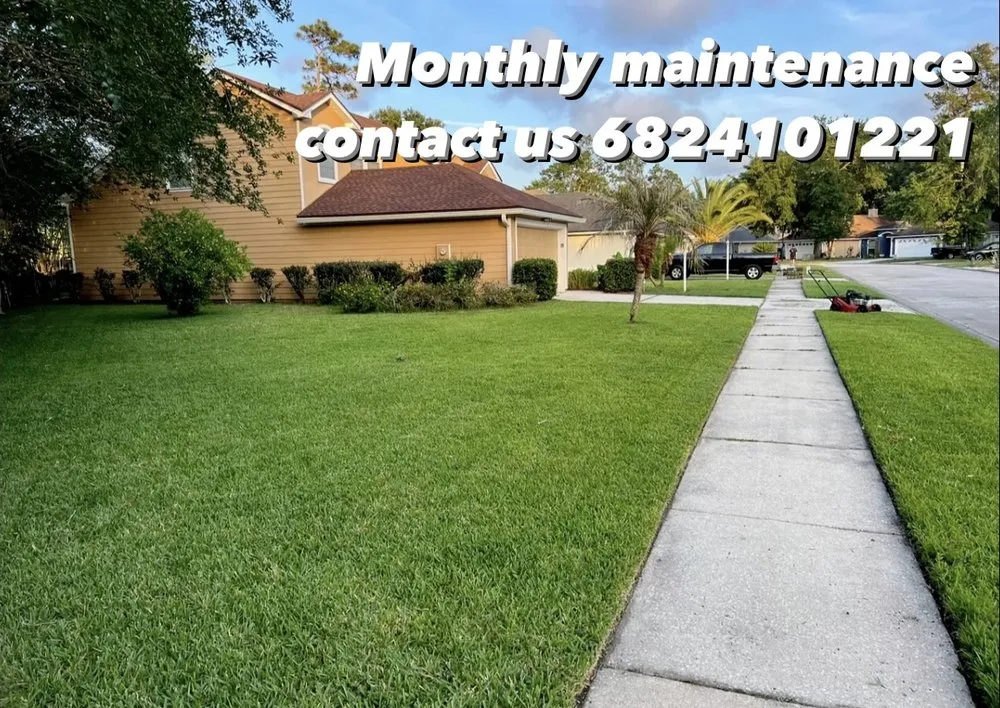 Reliable yard cleanup service in Jacksonville, FL - Better Green