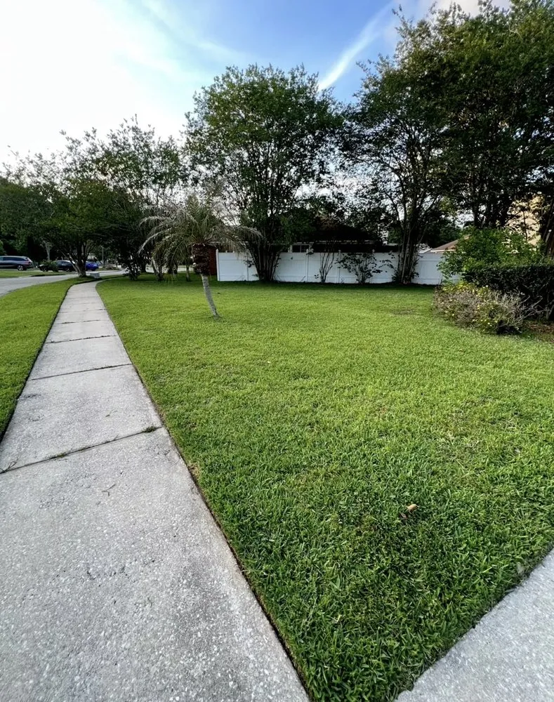 Affordable lawn care service for homes across Jacksonville, FL - Better Green