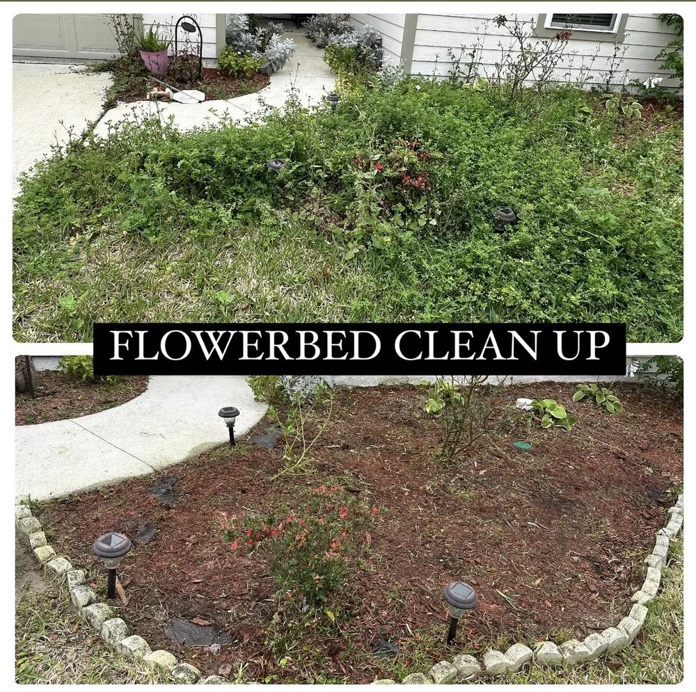 Reliable yard cleanup service for beautiful yards across Jacksonville, FL - Better Green