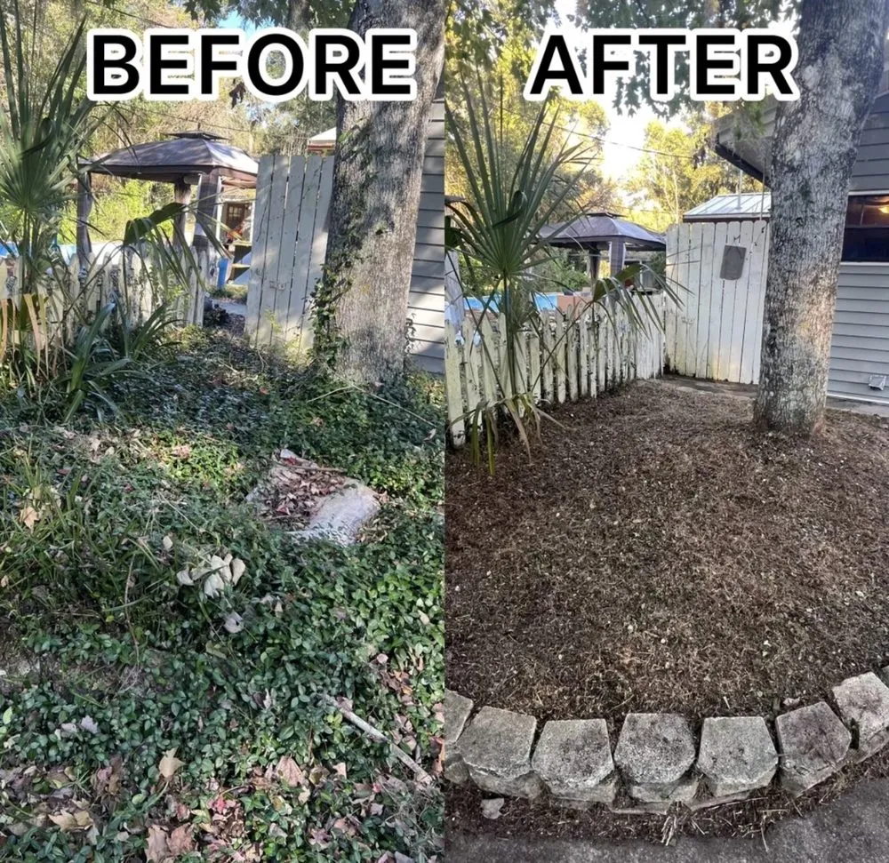 Trusted landscape design for outdoor upgrades in Jacksonville, FL by Better Green