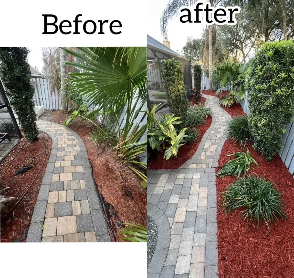 Affordable yard maintenance in Jacksonville, FL by Better Green