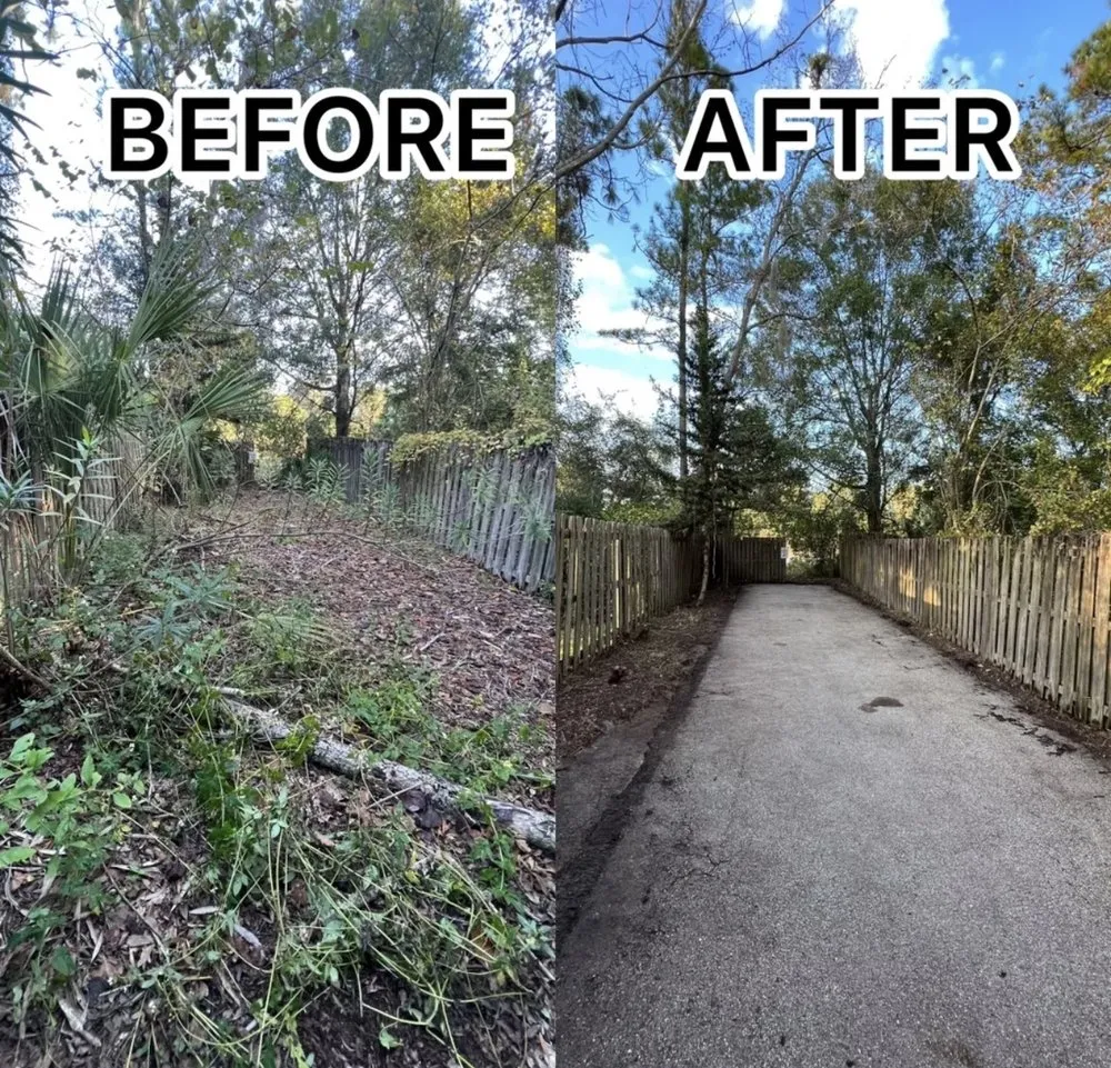 Professional outdoor landscaping in Jacksonville, FL - Better Green