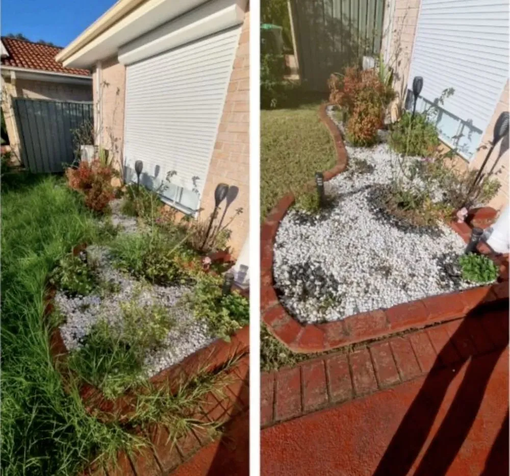 Affordable lawn care service for homes in Jacksonville, FL by Better Green