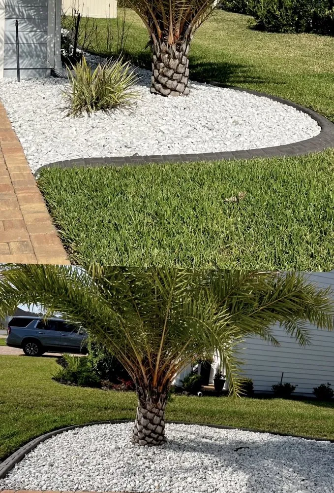 Trusted yard cleanup service in Jacksonville, FL - Better Green