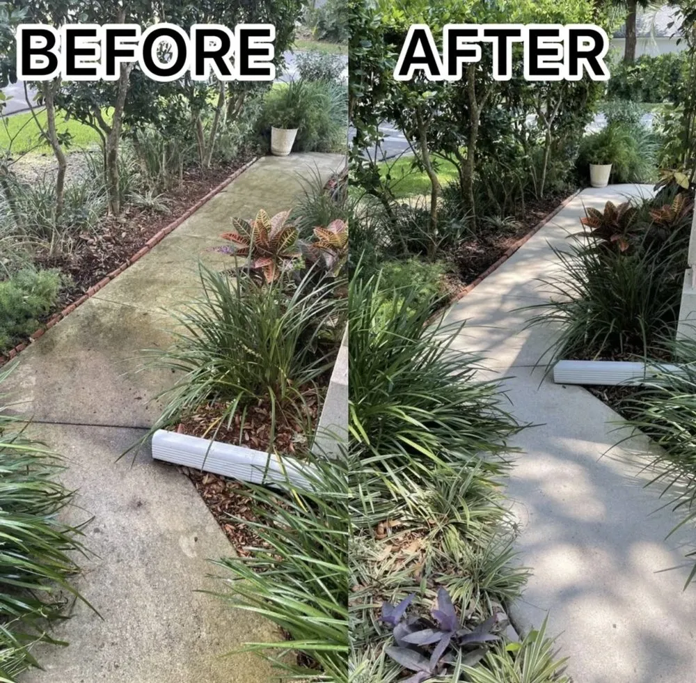 Reliable landscaping services for year-round maintenance in Jacksonville, FL by Better Green