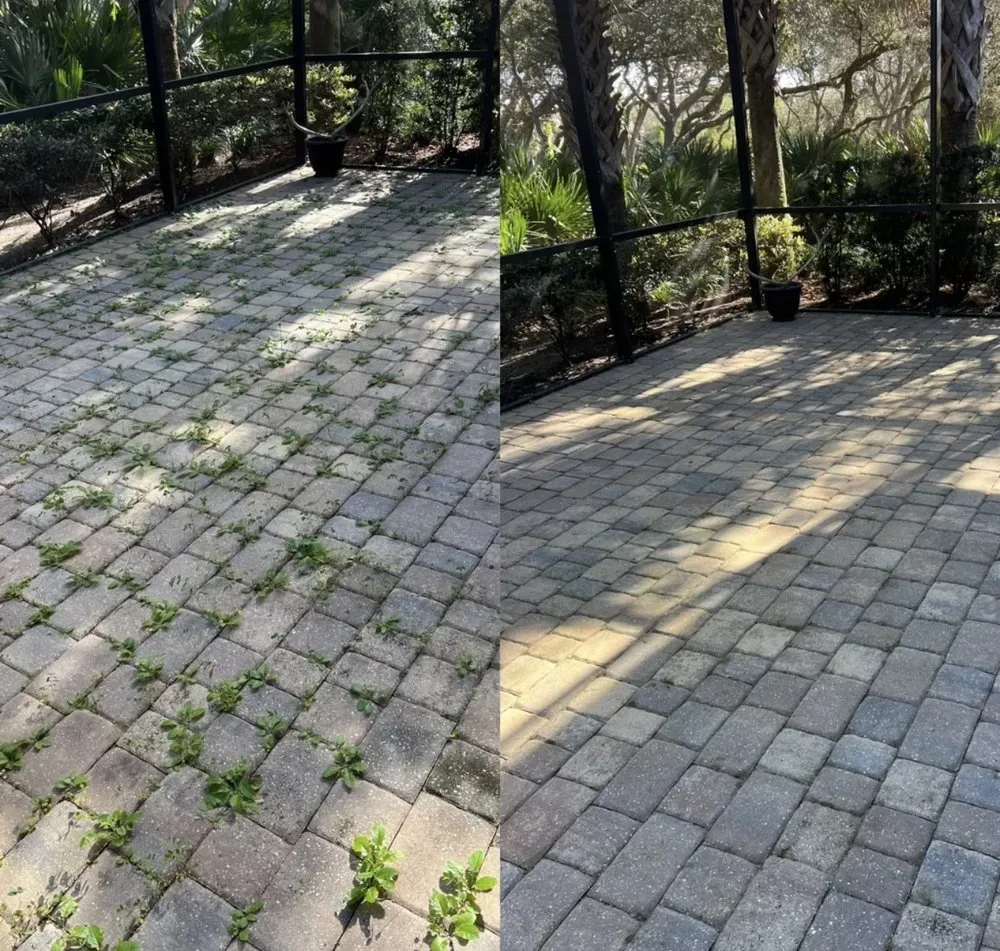 Local landscaping services experts serving Jacksonville, FL - Better Green