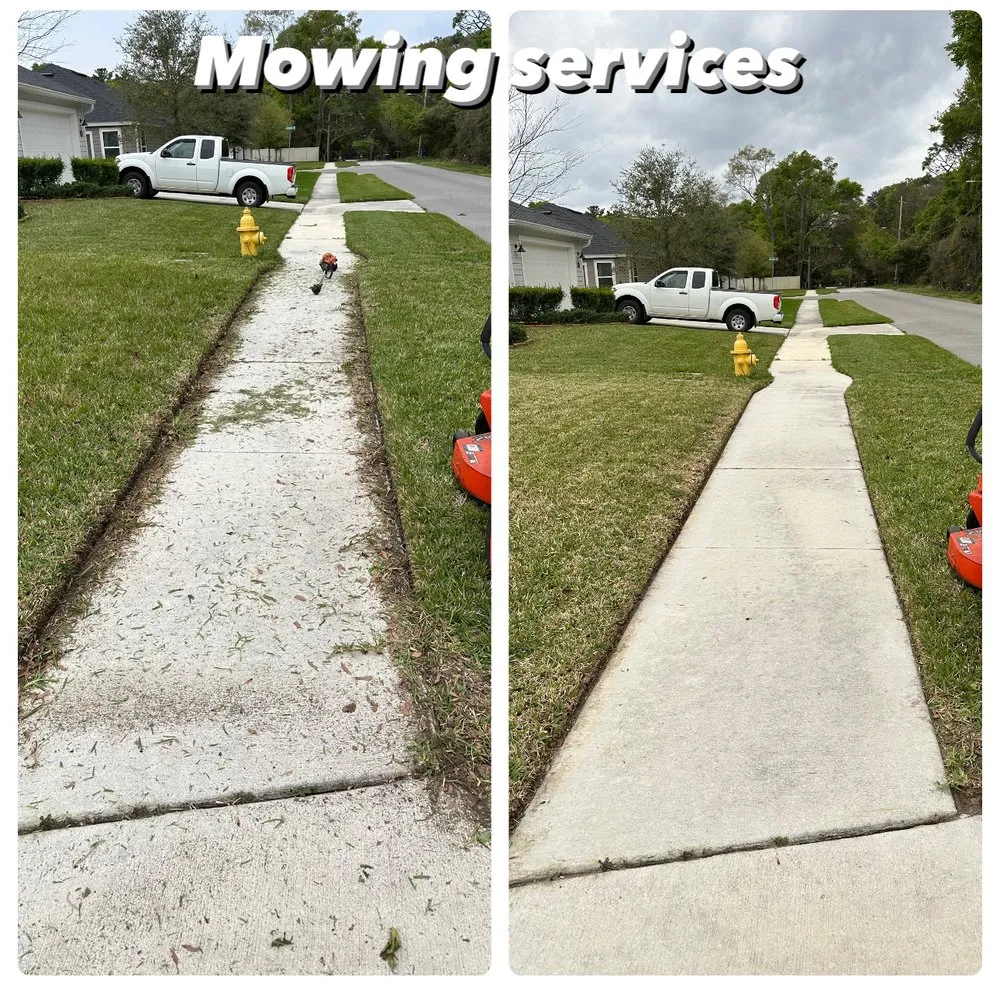 Professional yard cleanup service for year-round maintenance in Jacksonville, FL by Better Green