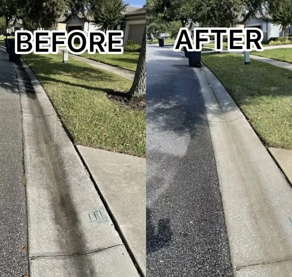 Professional landscape installation in Jacksonville, FL by Better Green
