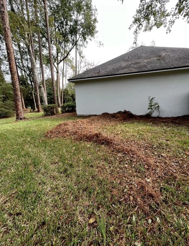 Local lawn care service for beautiful yards across Jacksonville, FL - Better Green