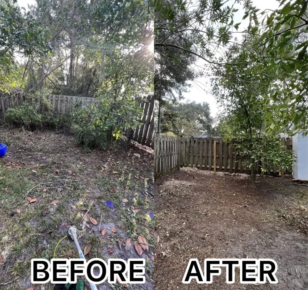 Local landscaping services for residential properties in Jacksonville, FL by Better Green