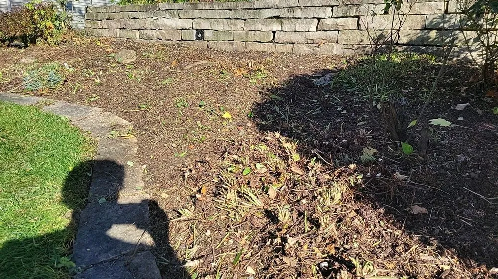 Expert landscape design in Plainfield, IL by Better Green Landscape