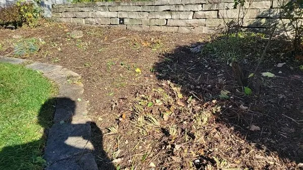 Better Green Landscape Logo