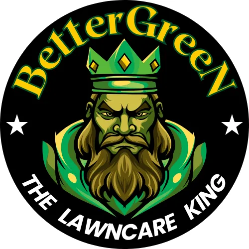 Expert landscape installation in Crowley, TX by Better Green Lawncare