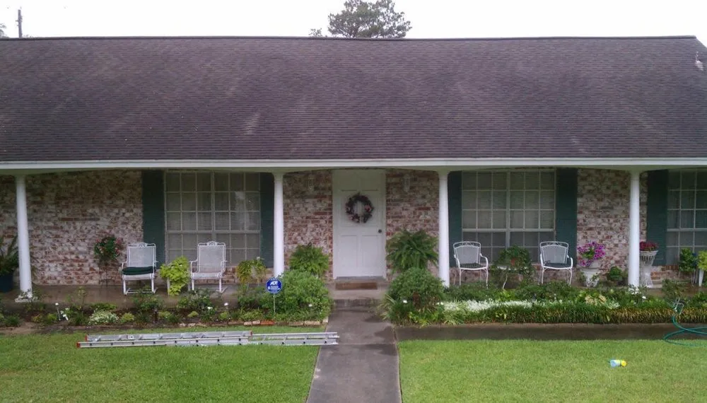 Trusted yard cleanup service experts serving Ocala, FL - Better Green