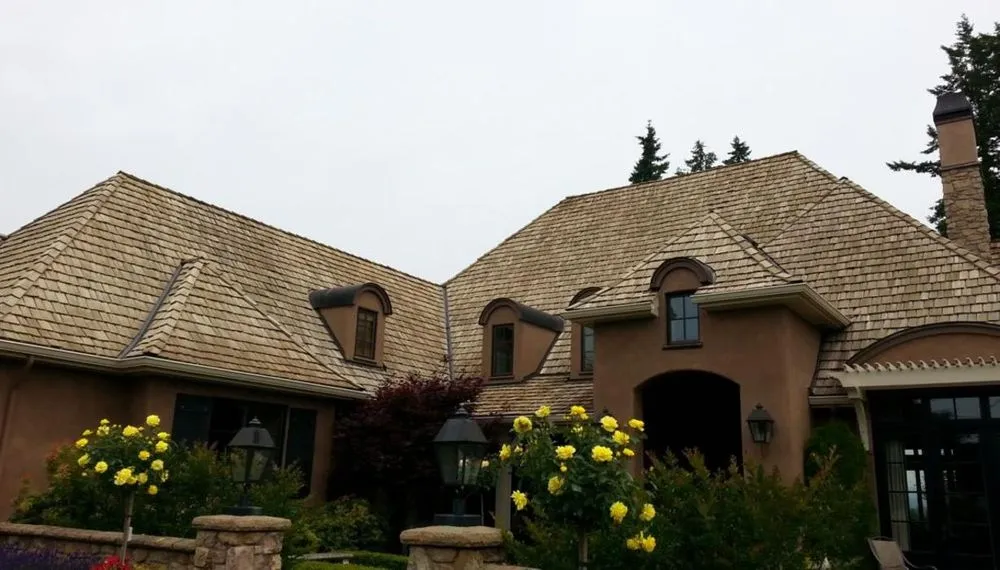 Reliable landscape design in Ocala, FL - Better Green