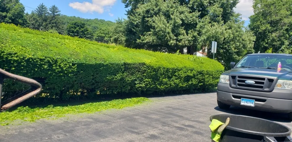 Expert garden landscaping with custom design in New Britain, CT by Better Greens Landscaping