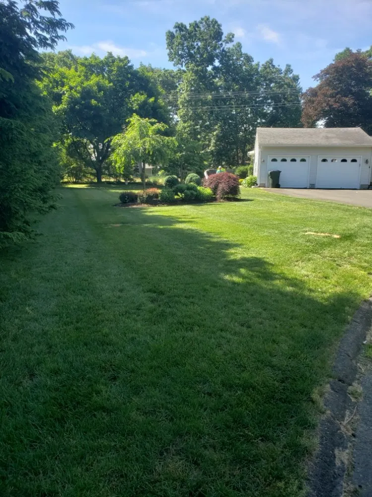 Trusted landscape installation experts serving New Britain, CT - Better Greens Landscaping
