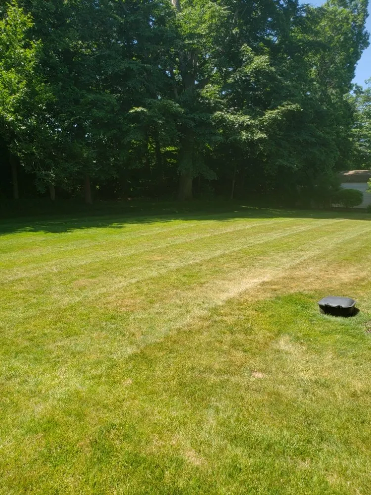 Reliable landscaping services in New Britain, CT by Better Greens Landscaping