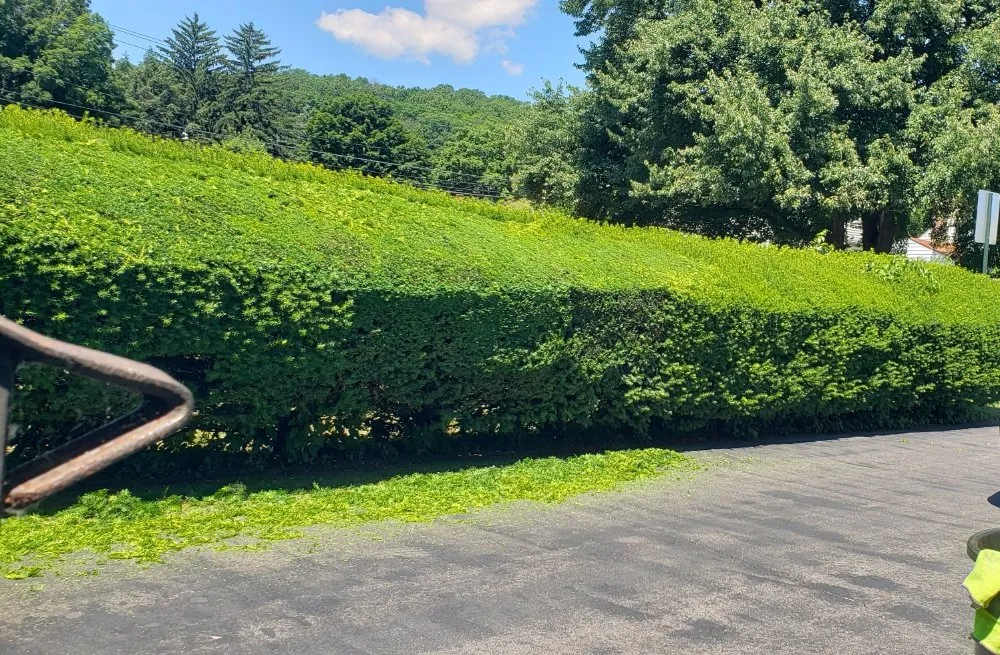 Local garden landscaping experts serving New Britain, CT - Better Greens Landscaping