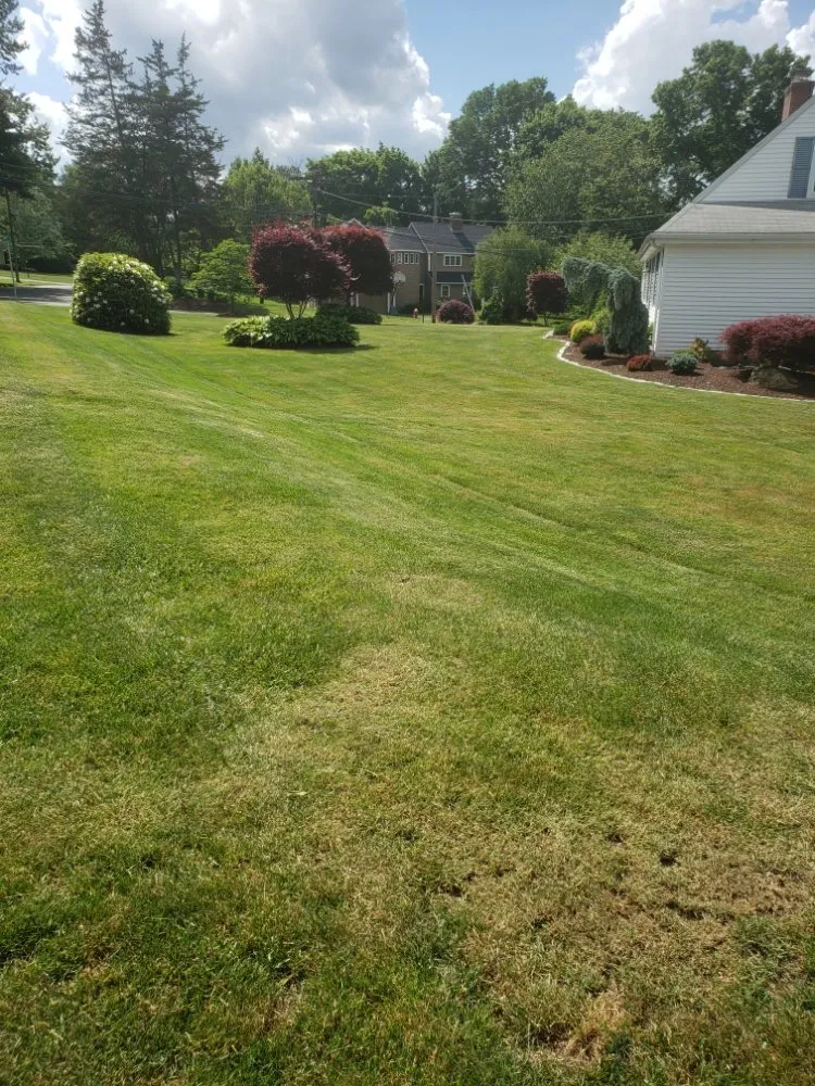 Professional garden landscaping experts serving New Britain, CT - Better Greens Landscaping