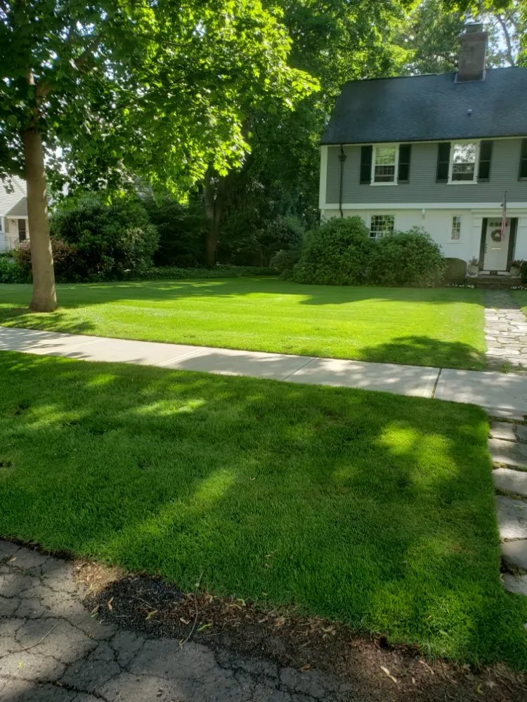 Affordable outdoor landscaping in New Britain, CT by Better Greens Landscaping