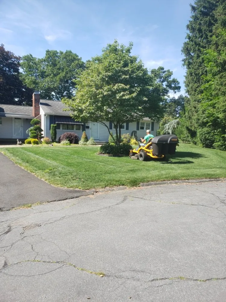 Expert residential landscaping experts serving New Britain, CT - Better Greens Landscaping
