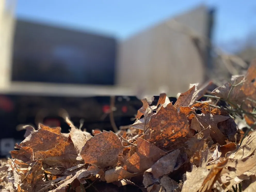 Reliable lawn care service in Lowell, MA by Better Grounds Management