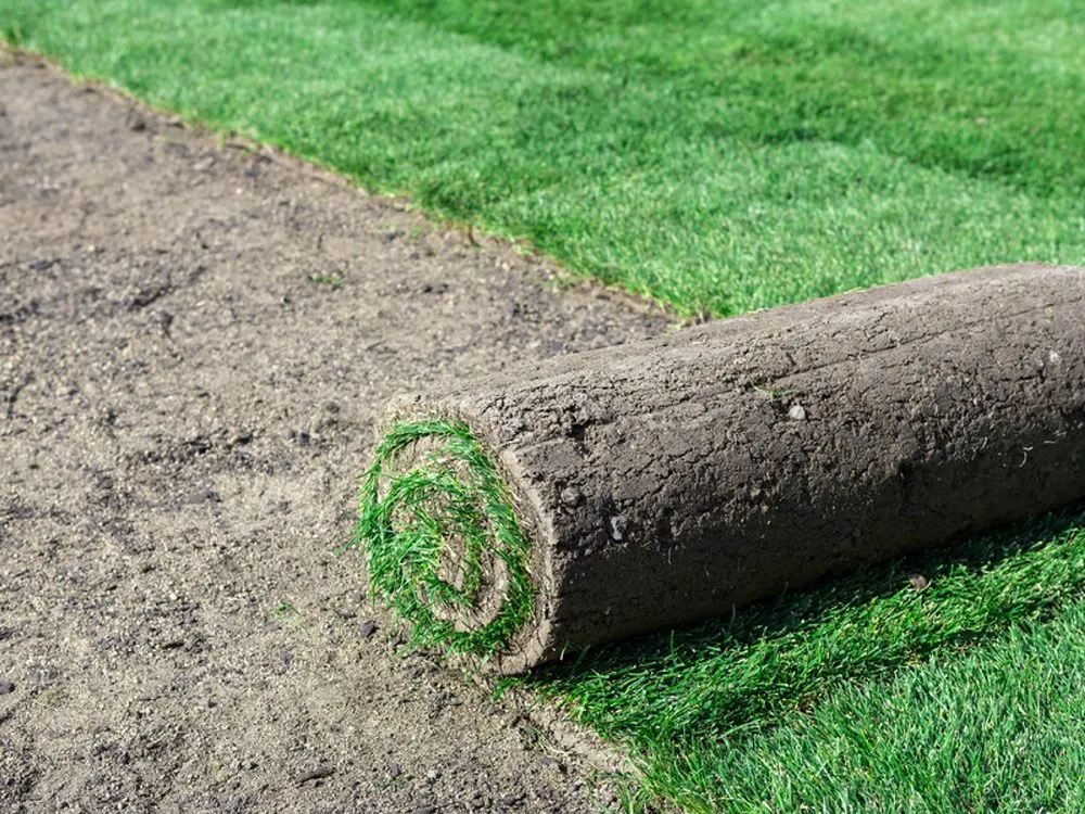 Trusted residential landscaping in Lowell, MA by Better Grounds Management